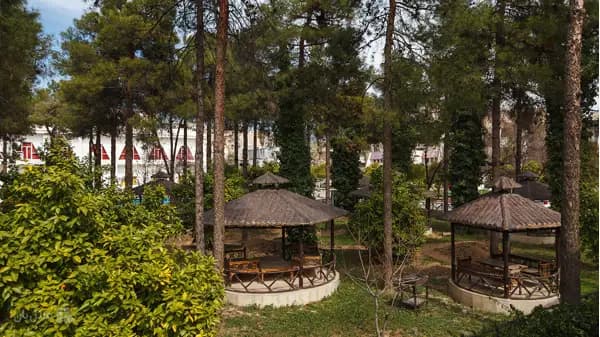 تصویر فضای بیرونی هتل جهانگردی شیراز فضای بیرونی هتل جهانگردی شیراز